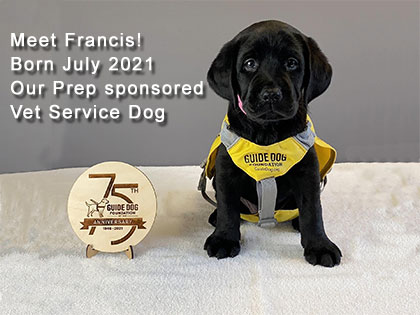 Francis The Vet Dog